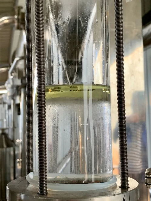 脫貧玫瑰 讓農(nóng)戶日子越過(guò)越香甜