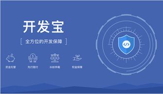 碼市開發(fā)寶 構建云端軟件開發(fā)生態(tài)閉環(huán)，引領軟件開發(fā)新范式