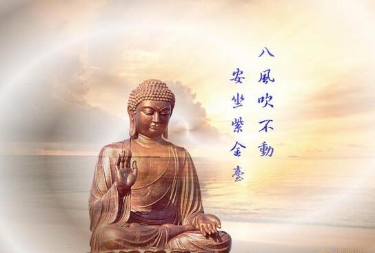 禪訓.jpg