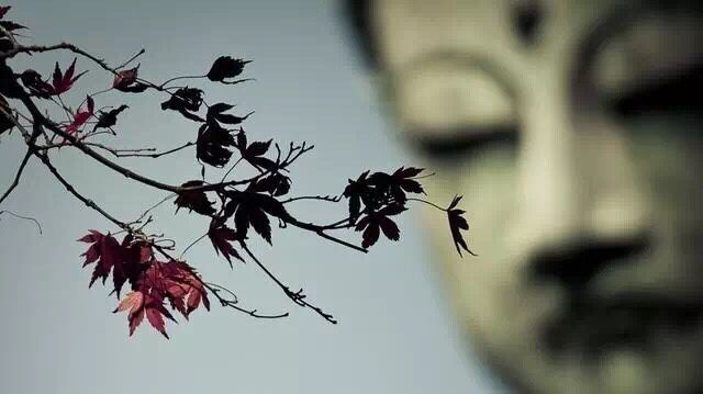 掌握人生心態的十一法則是什么？