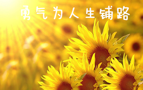 識禪.jpg