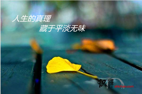 timg (1)_副本.jpg
