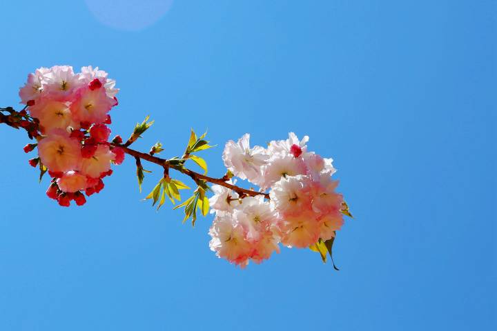 img-024de34df919400624bb6b6e673b1022.jpg