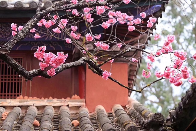 一個(gè)人一生當(dāng)中經(jīng)歷最可悲的四件事情