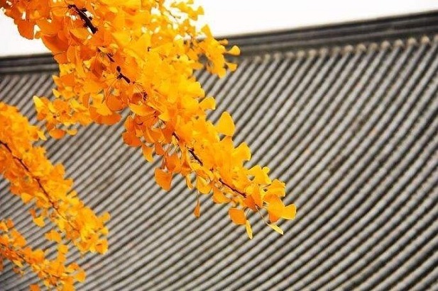 為什么很多善良的人還會感到一生痛苦？